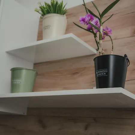 아파트 Jes 레스코바츠